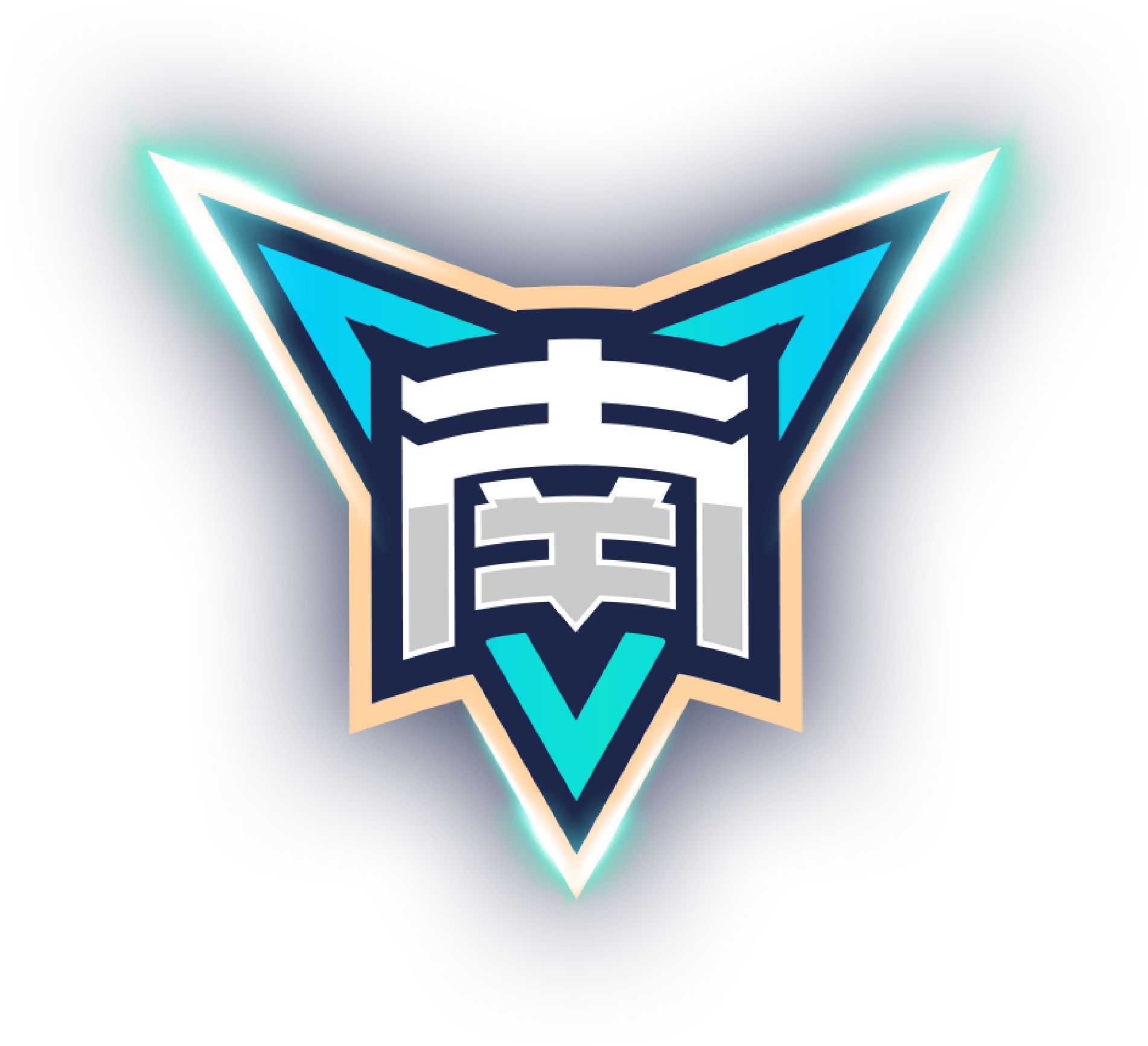 尼斯